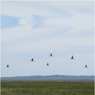 flying in grasslands